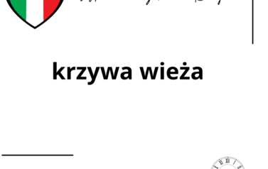 Przykładowe kalambury.