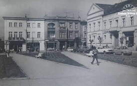 Studium historyczno-konserwatorskie..., Toruń 1982