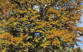 24.10.2024 r., fot. M. Lulka