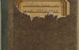 Pamiętnik Władysława Wes&oacute;ł - okładka 