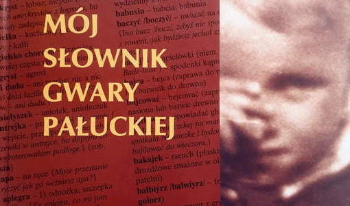 Mój słownik gwary pałuckiej. Mirosław Kaźmiyrz Binkowski, Żnin 2009. 