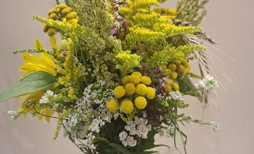 Praca nagrodzona - Stanisława Kwiatkowska