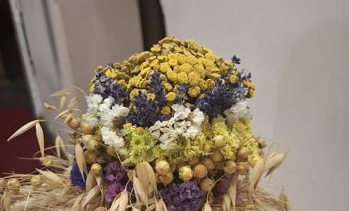 Praca wyróżniona - Marlena Bałka