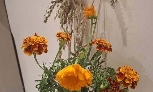 Bukiet Hani Kaczmarek