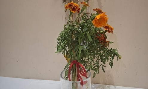 Bukiet Hani Kaczmarek