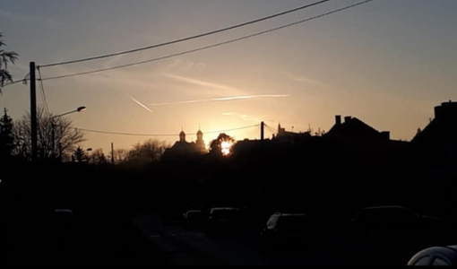 fot. E. Buysers-Nowicka