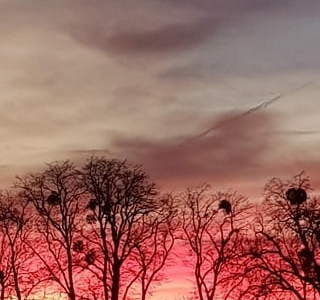 Fot. D. Śwital-Grzeszczyk 