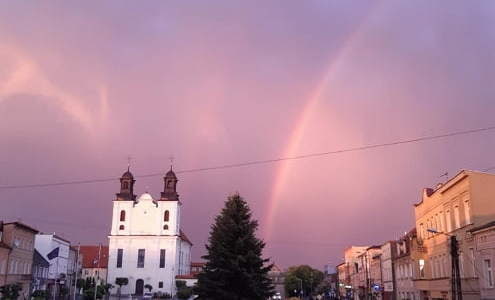 Fot. D. Śwital-Grzeszczyk 