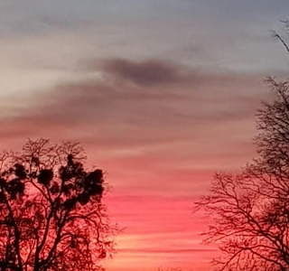 Fot. D. Śwital-Grzeszczyk 