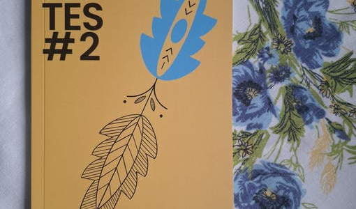 Notes #2. Wielka mała historia Krajny i Pałuk. Wyd. Fundacja Ari-Ari, Kcynia/Bydgoszcz 2025