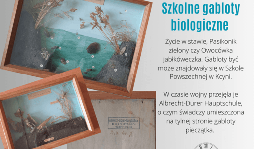 Szkolne gabloty biologiczne. Z archiwum ZST w Kcyni 