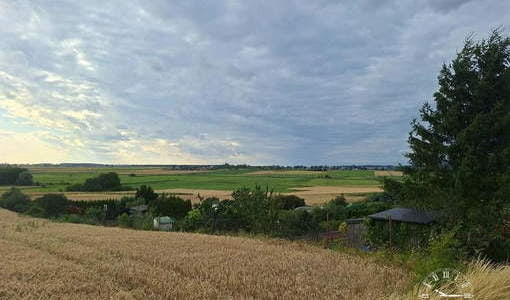 Widok z Grabowa