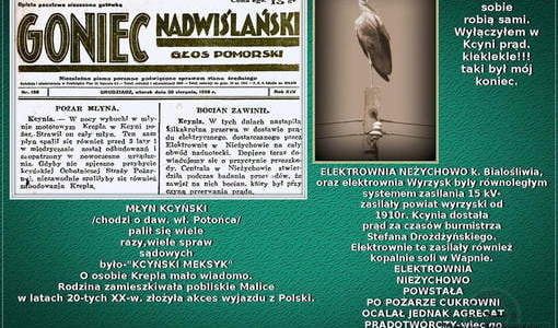 Przez boćka kłopot. Nadesłał Roman Tadych