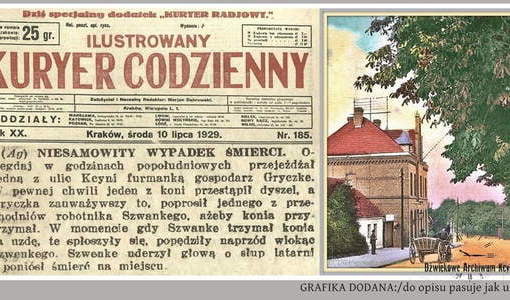 KOŃ POWODEM ŚMIERCI W KCYNI. Nadesłał Roman Tadych