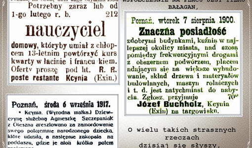 KCYNIA W GOŃCU3 (Copy). Nadesłał Roman Tadych
