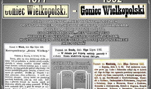 KCYNIA W GOŃCU. Nadesłał Roman Tadych