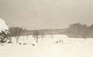 Z Parlina do Dębogóry - wywiad z Praksedą Szynakiewicz 