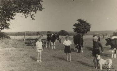 Boruch, mój ulubiony pies 