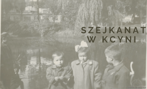 Zdjęcie do Ropa naftowa w Kcyni 